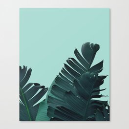 Leaves Canvas Print