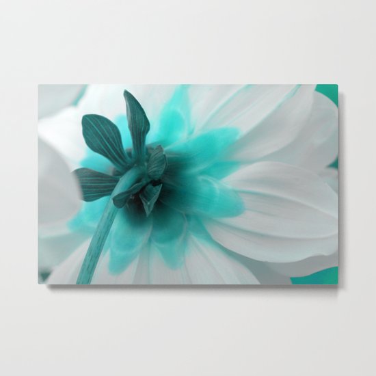 timido Metal Print