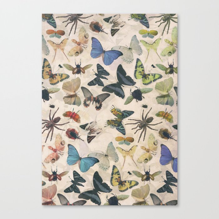 Insect Jungle Canvas Print