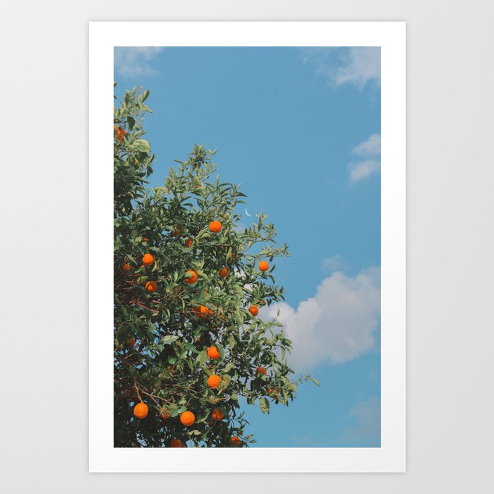 oranges Art Print