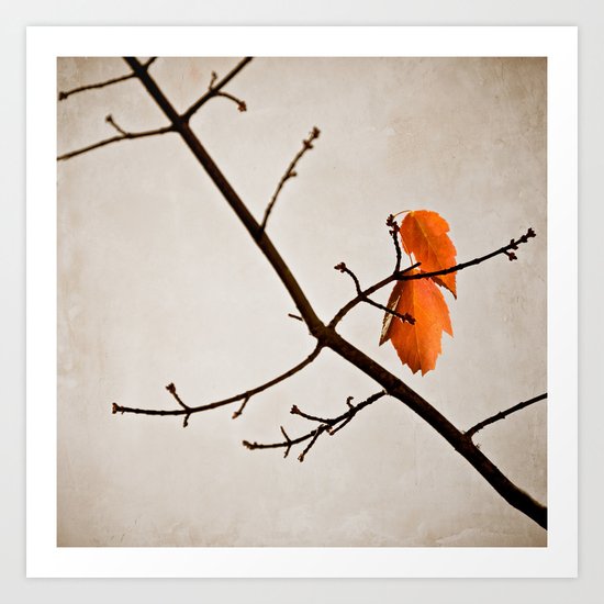 Fall Art Print