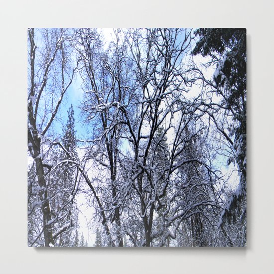 Winter in my yard... Metal Print