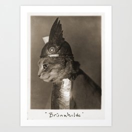1936 Vintage Photo of Viking Cat "Brunnhilde" Art Print