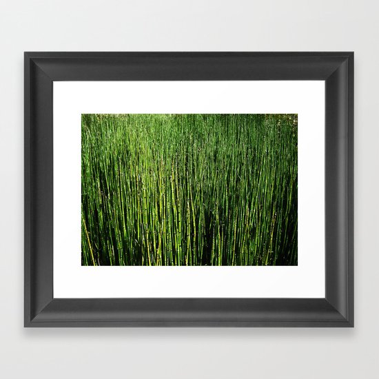 Wallgrass Framed Art Print