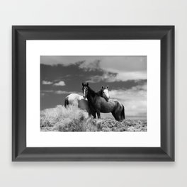 Wild Horses Framed Art Print
