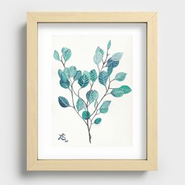 Eucalyptus Recessed Framed Print