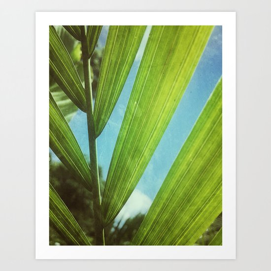 Tropical Outlook Art Print