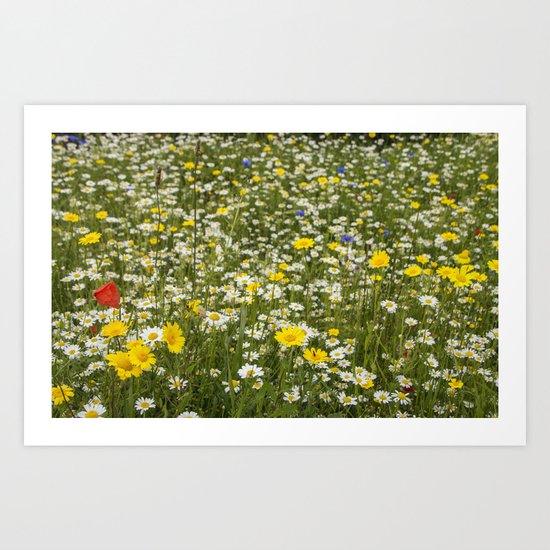 Meadow Art Print