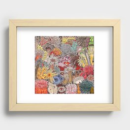 Clown fish and Sea anemones Recessed Framed Print