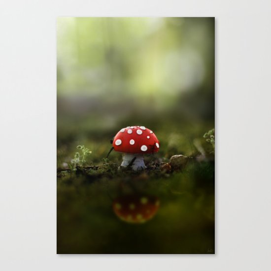 the real world Canvas Print