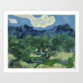 Olive Trees by Vincent van Gogh Art Print