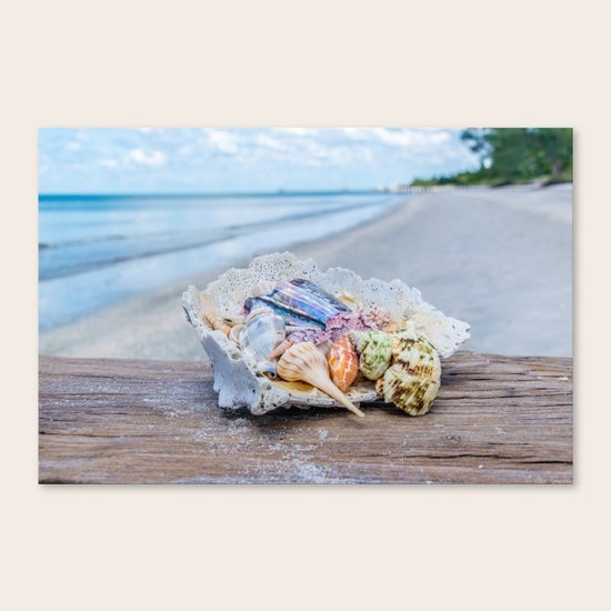 Sea Gems Canvas Print