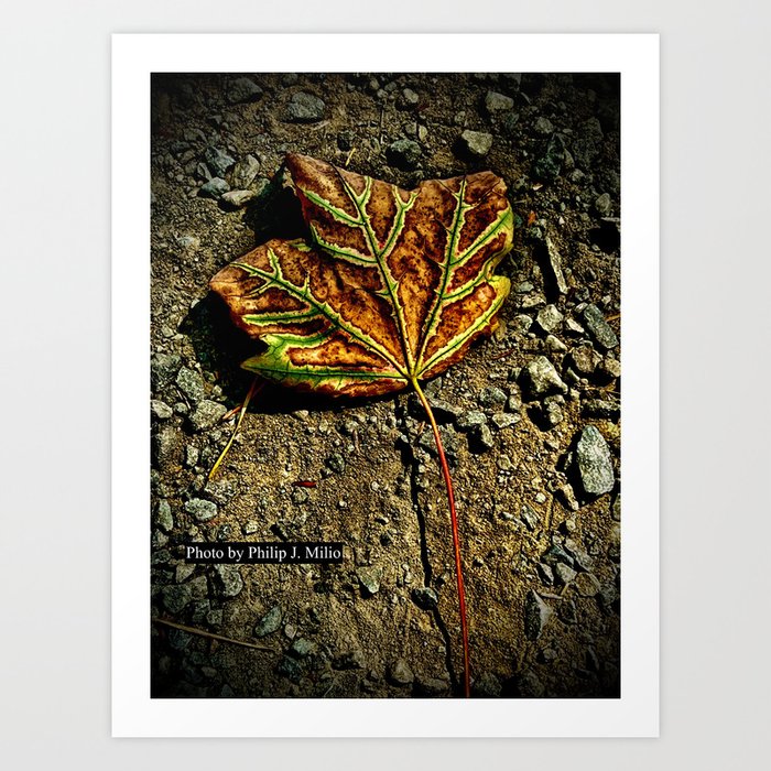 Autumn is Coming Art Print