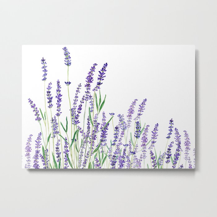 lavender watercolor horizontal Metal Print
