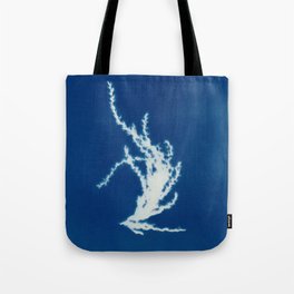 Cyanotype - Myscanthus #2 - dried flower Tote Bag
