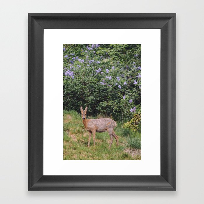 deer & lilacs Framed Art Print