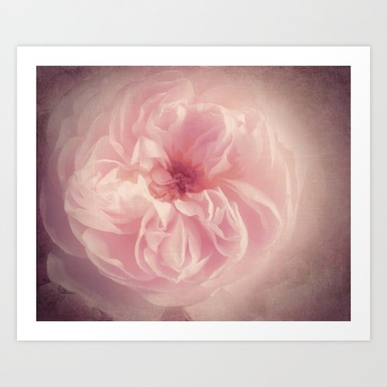 Rose Art Print