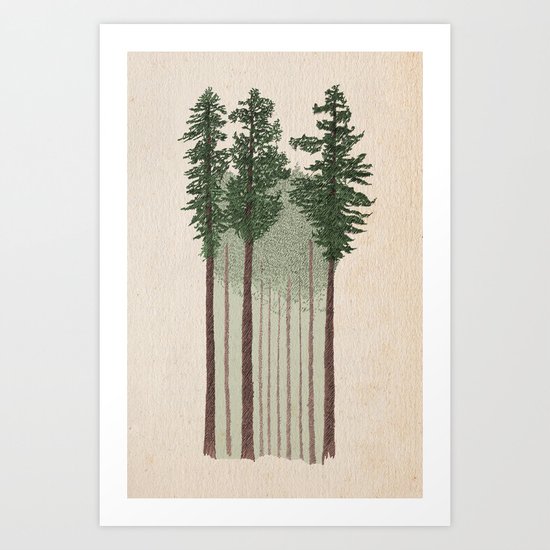 Tall Trees Art Print