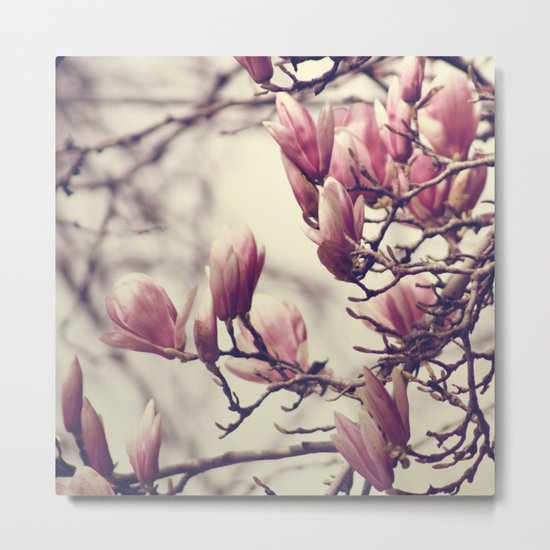 Magnolia II Metal Print