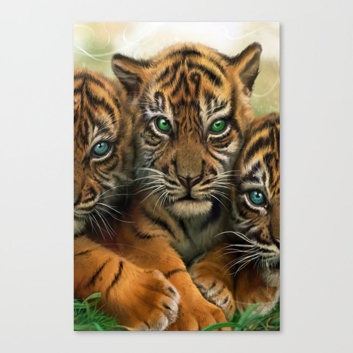 Tiger collezione outlet