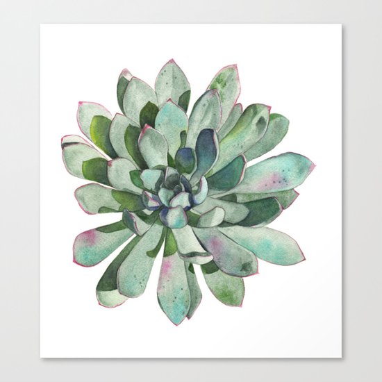 Succulent Canvas Print