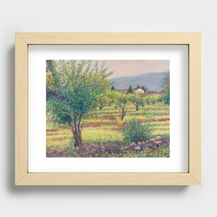 Apricot Orchard Recessed Framed Print