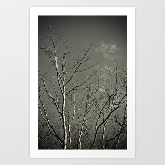 Tree #2 Art Print