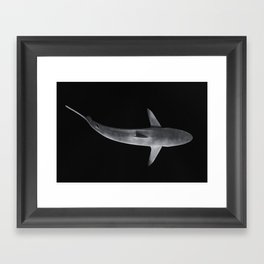 Stark Shark Framed Art Print