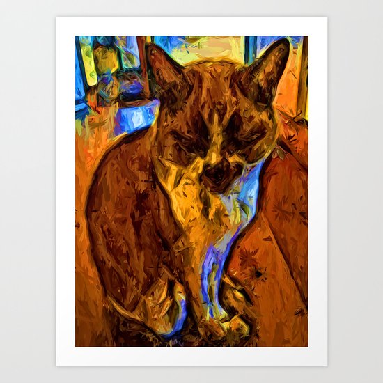 Orange Cat with some Blue Art Print