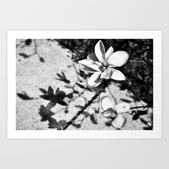 Blossum Art Print