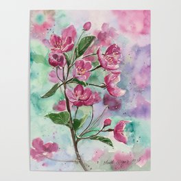 Cherry Blossoms Watercolour Painting Poster