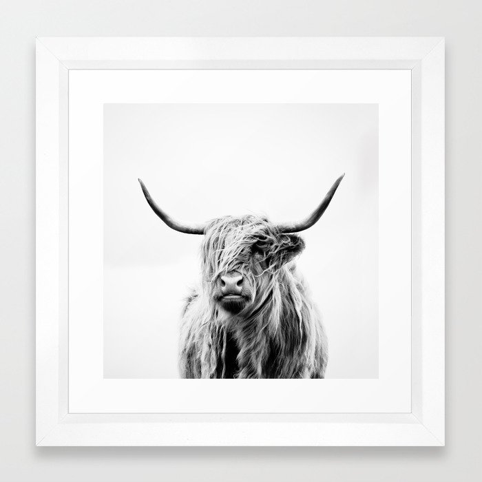Portrait Of A Highland Cow Framed Art Print By Doritfuhg Society6