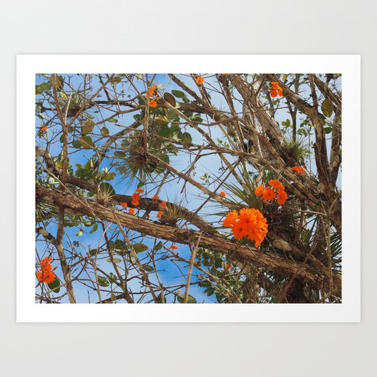 Flowers at Chichen Itza Art Print