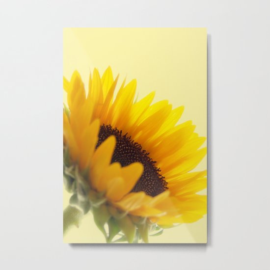 Sunflower Metal Print