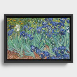 Irises, Vincent Van Gogh Framed Canvas