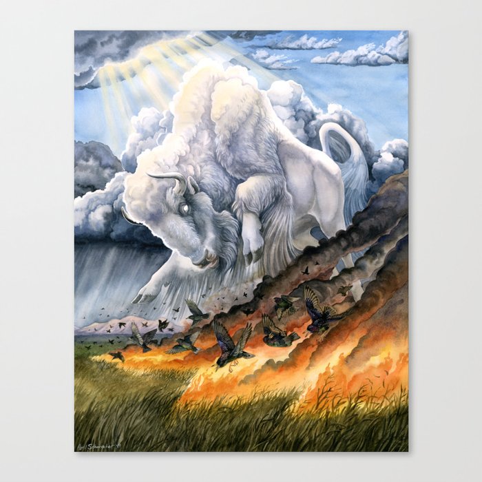 White Buffalo Canvas Print