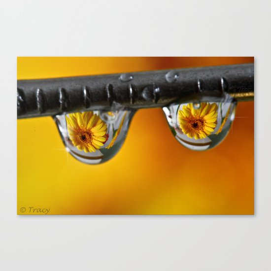 Sunshine Drops Canvas Print