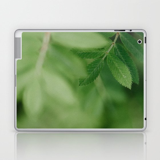 Spring Life Beautiful Green Rowan Leaves In Macro Image Laptop Ipad Skin By Naniannette
