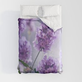 lavender Purple Comforter