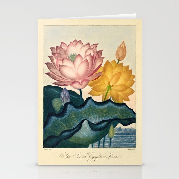 Sacred Egyptian Bean from "The Temple of Flora," 1812 (benefitting The Nature Conservancy) Stationery Cards