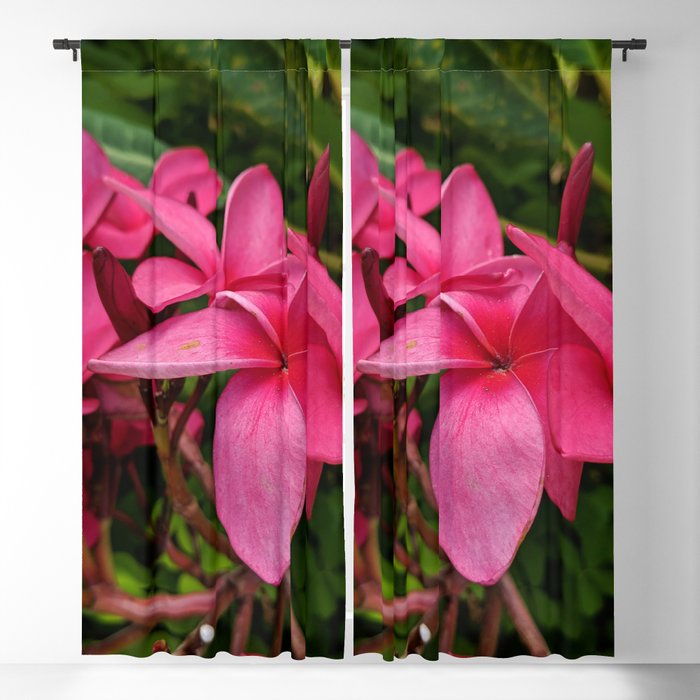 pink plumeria Blackout Curtain