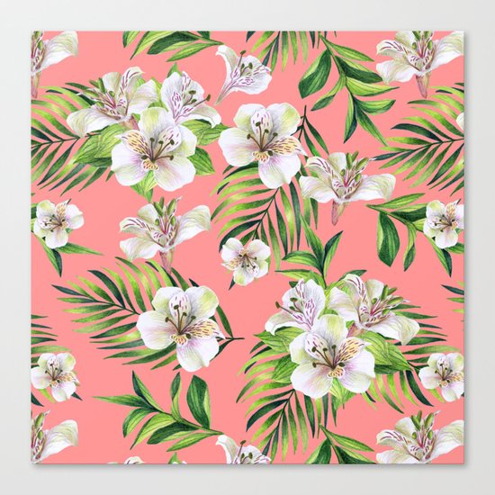 White flowers on a pink background Canvas Print