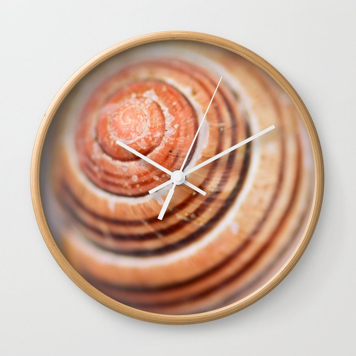 Snail Shell Wall Clock