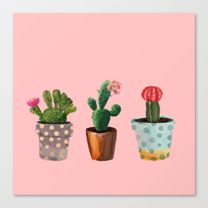 Three Cacti With Flowers On Pink Background Canvas Print