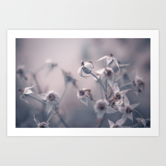 we shed what was left of our summer skin Art Print