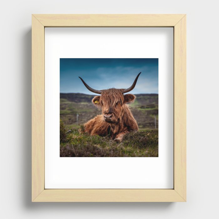 Scottish Highland Cow | Scottish Cattle | Cute Cow | Cute Cattle 03 Recessed Framed Print