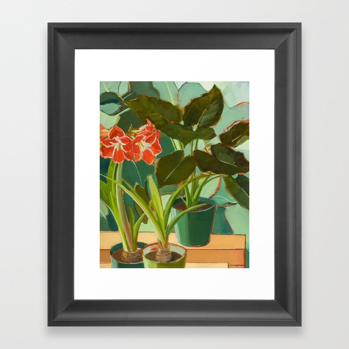 Red Amaryllis Framed Art Print