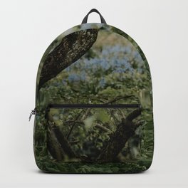 Rainy day at botanical garden Amsterdam | Rainy day in spring photo print Backpack | Blossominggarden, Amsterdamgarden, Englishgarden, Photo, Botanical, Amsterdam, Digital, Garden, Photoprint, Dutch 
