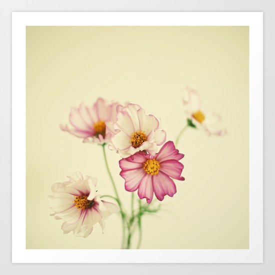 Summer Flowers Art Print