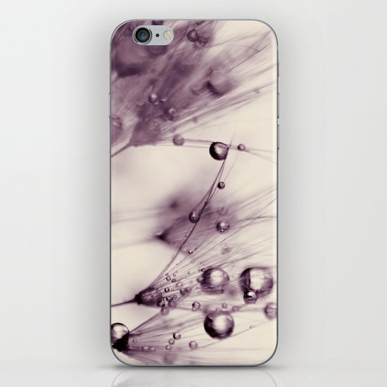 dandelion iPhone & iPod Skin